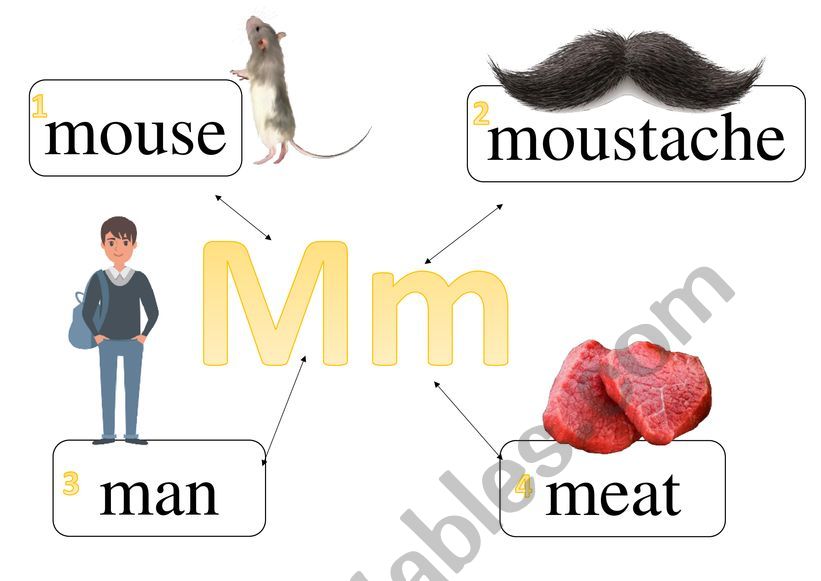 ALPHABET WITH WORDS [M --- P] worksheet